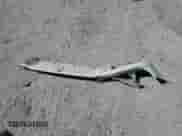 2015 BMW 5 Series 528i xDrive with VIN WBA5A7C55FD623812, listed as a Copart auction lot 80330825 with Not provided miles and Salvage title. Bid and sale history available at DreamBid. Image 12.