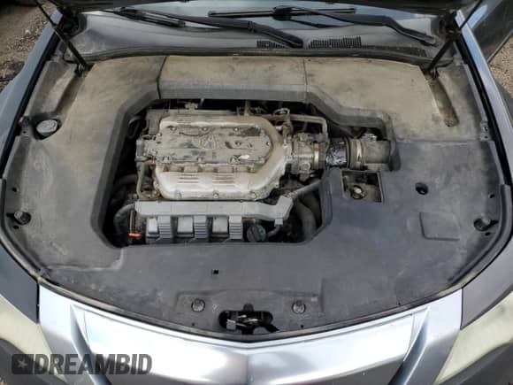 2009 Acura TL с VIN 19UUA86229A007420, выставлен на аукционе Copart как лот 87025745 с пробегом 264 927 миль миль и Списание • Salvage title. История ставок и продаж доступна на DreamBid. Изображение 11.