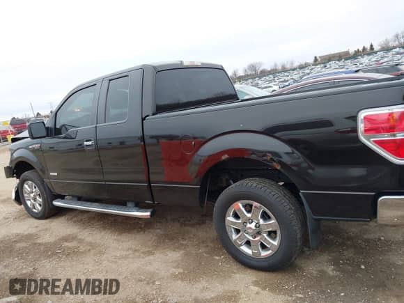 2013 Ford F-150 XL with VIN 1FTFX1CTXDFA65958, listed as a IAAI auction lot 41071126 with 146,919 mi miles and . Bid and sale history available at DreamBid. Image 14.