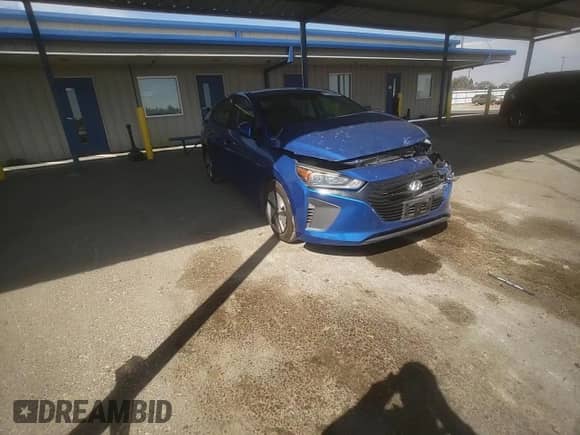 2018 Hyundai Ioniq Blue with VIN KMHC65LC4JU095974, listed as a Copart auction lot 71131255 with 113,541 mi miles and Salvage title. Bid and sale history available at DreamBid. Image 13.