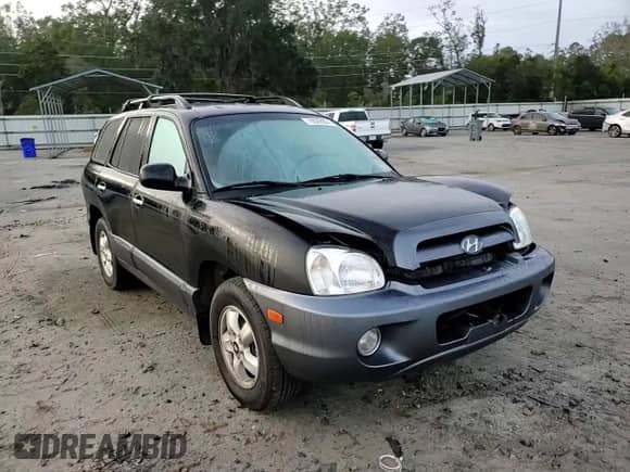 2005 Hyundai Santa Fe GLS z VIN KM8SC13E25U941748, wystawiony jako Copart lot #79509904 z przebiegiem 135 000 mil mil oraz Szkoda całkowita • Salvage title. Historia ofert i sprzedaży dostępna na DreamBid. Obrazek 11.