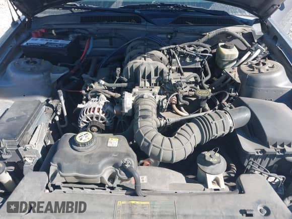 2006 Ford Mustang Standard with VIN 1ZVFT80NX65130436, listed as a IAAI auction lot 43128881 with 182,526 mi miles and . Bid and sale history available at DreamBid. Image 10.