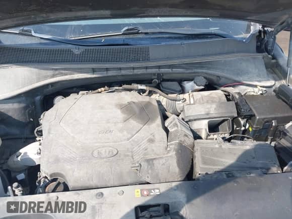 2019 Kia Sorento LX with VIN 5XYPGDA51KG522810, listed as a IAAI auction lot 43000577 with 98,934 mi miles and . Bid and sale history available at DreamBid. Image 10.