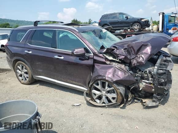 2021 Hyundai Palisade SEL with VIN KM8R3DHE4MU267495, listed as a Copart auction lot 59727554 with 79,764 mi miles and Salvage title. Bid and sale history available at DreamBid. Image 4.