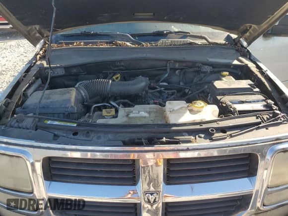 2008 Dodge Nitro SXT with VIN 1D8GU28K48W248234, listed as a Copart auction lot 84718165 with 97,328 mi miles and Clean title. Bid and sale history available at DreamBid. Image 12.
