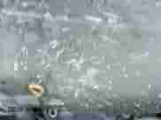 2015 Toyota Sienna LE AAS z VIN 5TDKK3DC3FS685643, wystawiony jako IAAI lot #43401772 z przebiegiem 203 402 mil mil oraz . Historia ofert i sprzedaży dostępna na DreamBid. Obrazek 19.