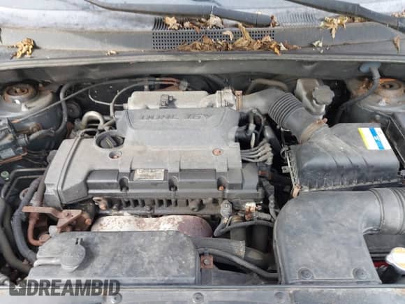 2009 Hyundai Tucson GLS with VIN KM8JM12B59U042839, listed as a IAAI auction lot 43248588 with 184,219 mi miles and . Bid and sale history available at DreamBid. Image 10.