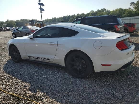 2019 Ford Mustang EcoBoost z VIN 1FA6P8TH1K5141449, wystawiony jako Copart lot #61192095 z przebiegiem 82 557 mil mil oraz Szkoda całkowita • Salvage title. Historia ofert i sprzedaży dostępna na DreamBid. Obrazek 2.