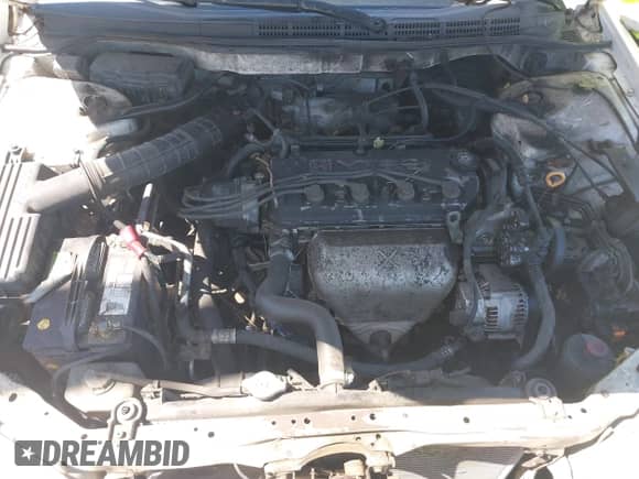 1998 Honda Accord EX with VIN 1HGCG3270WA010245, listed as a IAAI auction lot 42628230 with 283,906 mi miles and . Bid and sale history available at DreamBid. Image 10.