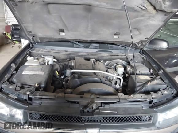 2005 Chevrolet TrailBlazer LT with VIN 1GNDT13S852223515, listed as a IAAI auction lot 43117327 with 157,317 mi miles and . Bid and sale history available at DreamBid. Image 10.