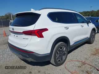 2023 Hyundai Santa Fe Limited with VIN 5NMS4DAL5PH644357, listed as a IAAI auction lot 43519506 with 49,326 mi miles and . Bid and sale history available at DreamBid. Image 4.