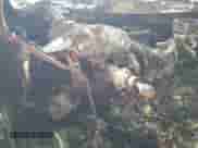 2018 Hyundai Sonata SE with VIN 5NPE24AFXJH642689, listed as a Copart auction lot 68276195 with Not provided miles and Non repairable. Bid and sale history available at DreamBid. Image 9.