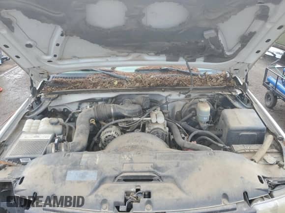 2002 Chevrolet Silverado 1500 z VIN 1GCEC14W32Z142164, wystawiony jako Copart lot #58081025 z przebiegiem 162 501 mil mil oraz Szkoda całkowita • Salvage title. Historia ofert i sprzedaży dostępna na DreamBid. Obrazek 11.