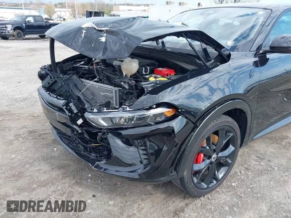 2024 Dodge Hornet R/T Plus с VIN ZACPDFDW0R3A11308, выставлен на аукционе IAAI как лот 42028354 с пробегом Не указан миль и . История ставок и продаж доступна на DreamBid. Изображение 19.