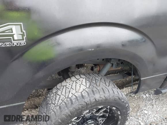 2010 Ford F-150 XL with VIN 1FTEW1E89AFB27093, listed as a IAAI auction lot 42202053 with 228,796 mi miles and . Bid and sale history available at DreamBid. Image 20.