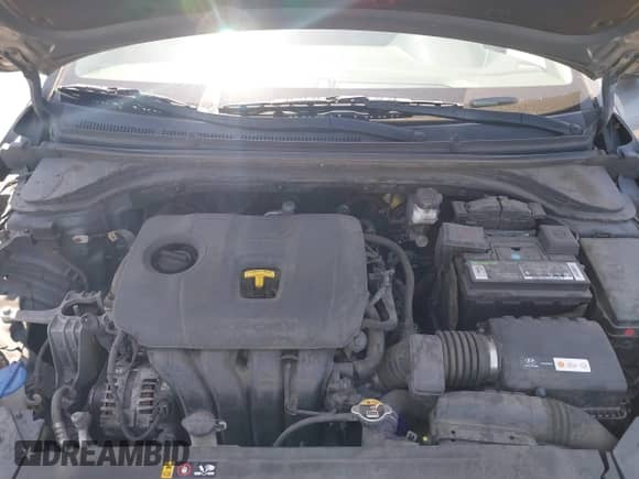 2019 Hyundai Elantra Value Edition z VIN KMHD84LF0KU761622, wystawiony jako IAAI lot #42300029 z przebiegiem 88 785 mil mil oraz . Historia ofert i sprzedaży dostępna na DreamBid. Obrazek 10.