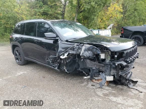 2025 Jeep Grand Cherokee Laredo with VIN 1C4RJHAG9SC309076, listed as a Copart auction lot 81134975 with 9,183 mi miles and Salvage title. Bid and sale history available at DreamBid. Image 4.