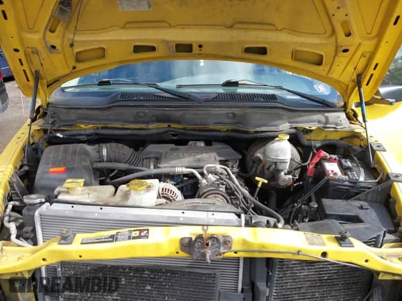 2005 Dodge 2500 SLT with VIN 3D7KS28D45G755666, listed as a IAAI auction lot 43252832 with 199,516 mi miles and . Bid and sale history available at DreamBid. Image 10.