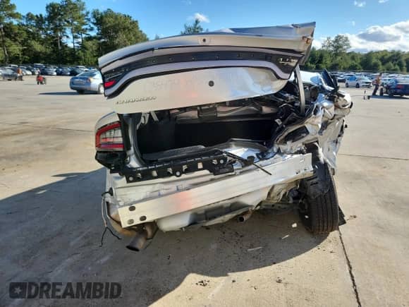 2018 Dodge Charger Police with VIN 2C3CDXAT3JH244407, listed as a Copart auction lot 85358415 with Not provided miles and Salvage title. Bid and sale history available at DreamBid. Image 6.