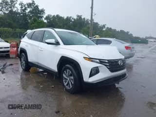 2024 Hyundai Tucson Blue with VIN KM8JBCD15RU194397, listed as a IAAI auction lot 43104054 with 19,814 mi miles and . Bid and sale history available at DreamBid. Image 1.