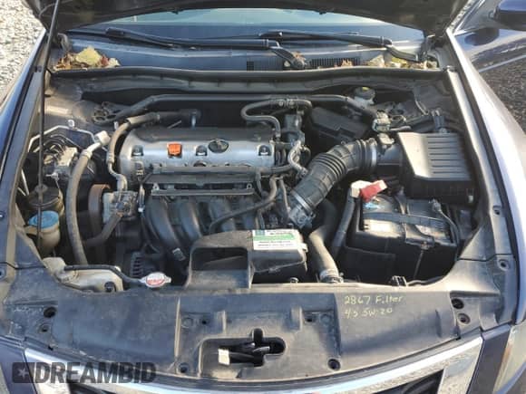 2010 Honda Accord EX with VIN 1HGCP2F7XAA116182, listed as a Copart auction lot 87080185 with 234,768 mi miles and Clean title. Bid and sale history available at DreamBid. Image 11.