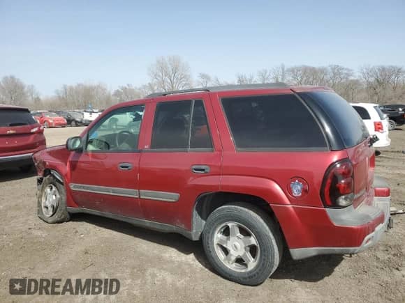 2002 Chevrolet TrailBlazer LS with VIN 1GNDT13S422462068, listed as a Copart auction lot 46504315 with 234,984 mi miles and Salvage title. Bid and sale history available at DreamBid. Image 2.