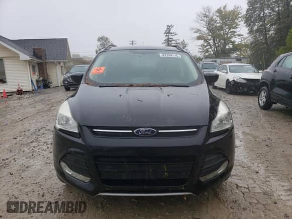 2014 Ford Escape SE with VIN 1FMCU0GX1EUD64105, listed as a Copart auction lot 82298125 with Not provided miles and Clean title. Bid and sale history available at DreamBid. Image 5.