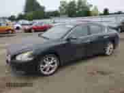 2012 Nissan Maxima SV с VIN 1N4AA5AP2CC804061, выставлен на аукционе Copart как лот 62809505 с пробегом 204 629 миль миль и Чистый • Clean title. История ставок и продаж доступна на DreamBid. Изображение 1.