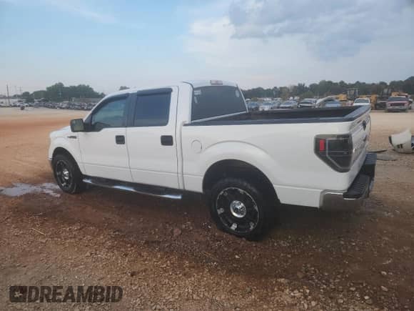 2013 Ford F-150 XL with VIN 1FTFW1CF0DKF86756, listed as a Copart auction lot 81214165 with 319,058 mi miles and Salvage title. Bid and sale history available at DreamBid. Image 2.