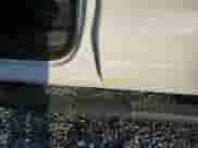 2023 Ram 1500 Tradesman z VIN 1C6RRFCG2PN631569, wystawiony jako Copart lot #81765424 z przebiegiem 23 811 mil mil oraz Szkoda całkowita • Salvage title. Historia ofert i sprzedaży dostępna na DreamBid. Obrazek 12.