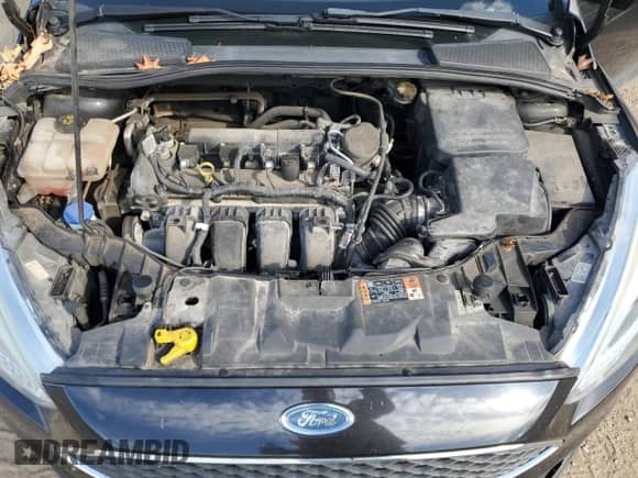 2015 Ford Focus SE with VIN 1FADP3K26FL309711, listed as a Copart auction lot 85560635 with 88,347 mi miles and Salvage title. Bid and sale history available at DreamBid. Image 11.