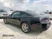 2014 Ford Mustang V6 with VIN 1ZVBP8AMXE5229264, listed as a Copart auction lot 81323895 with 147,445 mi miles and Clean title. Bid and sale history available at DreamBid. Image 2.