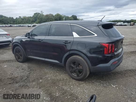 2021 Kia Sorento LX with VIN 5XYRGDLC3MG034076, listed as a Copart auction lot 69842055 with 87,993 mi miles and Salvage title. Bid and sale history available at DreamBid. Image 2.