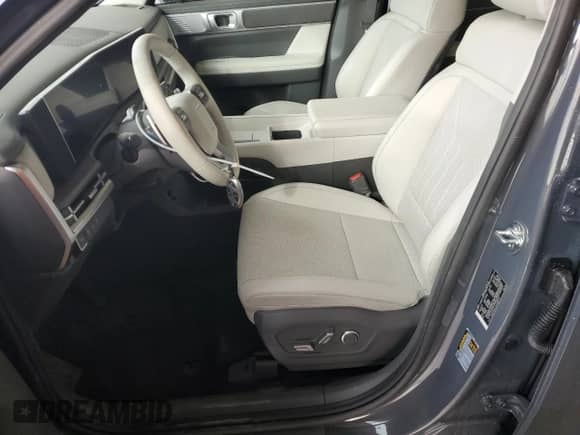 2025 Hyundai Santa Fe SEL с VIN 5NMP24GL5SH087171, выставлен на аукционе Copart как лот 43710845 с пробегом 2 897 миль миль и Чистый • Clean title. История ставок и продаж доступна на DreamBid. Изображение 7.