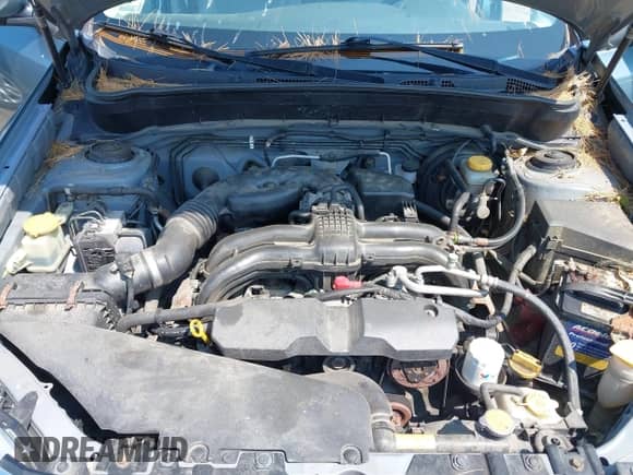 2011 Subaru Forester X Premium with VIN JF2SHADC9BG731761, listed as a IAAI auction lot 42458037 with 190,216 mi miles and . Bid and sale history available at DreamBid. Image 10.