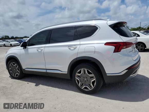2023 Hyundai Santa Fe Limited с VIN 5NMS44AL2PH497396, выставлен на аукционе Copart как лот 61620795 с пробегом 18 890 миль миль и На запчасти • Non repairable. История ставок и продаж доступна на DreamBid. Изображение 2.