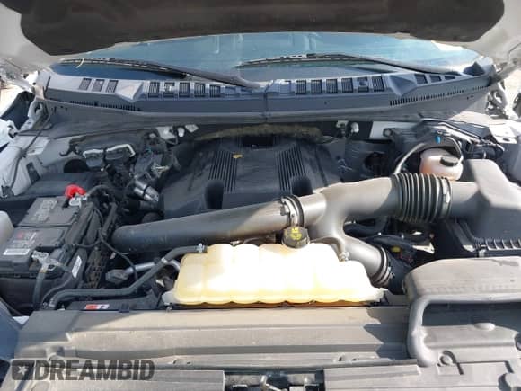 2019 Ford F-150 XL с VIN 1FTEW1E40KFA31934, выставлен на аукционе IAAI как лот 43206344 с пробегом 106 102 миль миль и . История ставок и продаж доступна на DreamBid. Изображение 10.