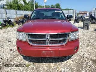 2008 Dodge Dakota SLT z VIN 1D7HW48NX8S539644, wystawiony jako Copart lot #68586715 z przebiegiem 81 195 mil mil oraz Nie do naprawy • Non repairable. Historia ofert i sprzedaży dostępna na DreamBid. Obrazek 5.