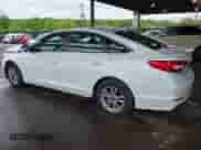 2017 Hyundai Sonata SE с VIN 5NPE24AF5HH494123, выставлен на аукционе IAAI как лот 42362467 с пробегом 147 345 миль миль и . История ставок и продаж доступна на DreamBid. Изображение 3.