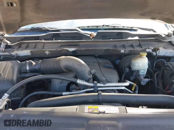 2014 Ram 1500 Express z VIN 3C6JR6AT5EG111434, wystawiony jako IAAI lot #41663335 z przebiegiem 227 039 mil mil oraz . Historia ofert i sprzedaży dostępna na DreamBid. Obrazek 10.