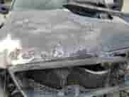 2008 Ford F-150 XLT с VIN 1FTPX14V98FA60308, выставлен на аукционе Copart как лот 81488715 с пробегом Не указан миль и Чистый • Clean title. История ставок и продаж доступна на DreamBid. Изображение 11.