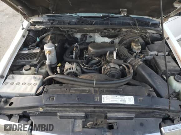 1999 Chevrolet Blazer LS z VIN 1GNCS13W1X2162495, wystawiony jako Copart lot #80019274 z przebiegiem Nie podano mil oraz Szkoda całkowita • Salvage title. Historia ofert i sprzedaży dostępna na DreamBid. Obrazek 11.