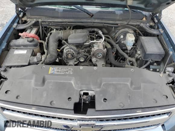 2009 Chevrolet Silverado 1500 Work Truck with VIN 1GCEC14X99Z166164, listed as a Copart auction lot 52852255 with 194,568 mi miles and Salvage title. Bid and sale history available at DreamBid. Image 11.
