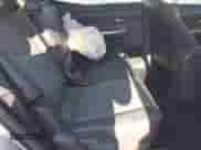 2012 Toyota Prius Two with VIN JTDZN3EU0C3123239, listed as a IAAI auction lot 41649249 with Not provided miles and . Bid and sale history available at DreamBid. Image 8.