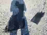 2017 Chevrolet Express Passenger LT с VIN 1GAZGPFF6H1242149, выставлен на аукционе Copart как лот 63700745 с пробегом 707 545 миль миль и Списание • Salvage title. История ставок и продаж доступна на DreamBid. Изображение 13.