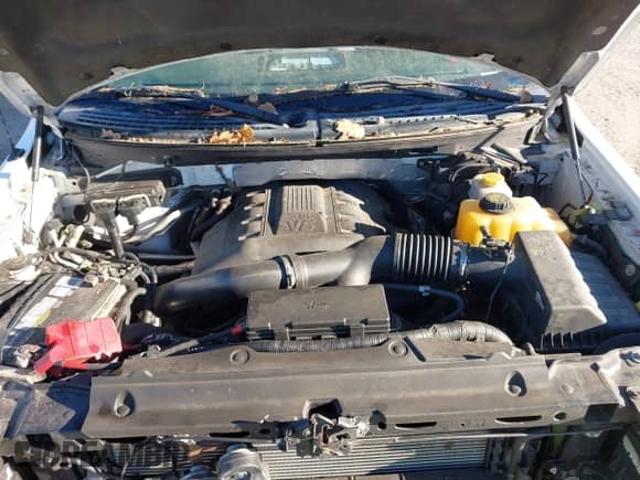 2014 Ford F-150 FX4 with VIN 1FTFW1ET6EFA57504, listed as a IAAI auction lot 43411648 with 213,926 mi miles and . Bid and sale history available at DreamBid. Image 10.