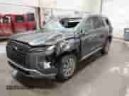 2025 Hyundai Palisade SEL z VIN KM8R2DGE3SU899728, wystawiony jako IAAI lot #43521813 z przebiegiem 21 813 mil mil oraz . Historia ofert i sprzedaży dostępna na DreamBid. Obrazek 2.