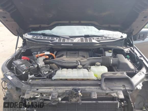 2021 Ford F-150 XL с VIN 1FTFW1ED5MFD00226, выставлен на аукционе IAAI как лот 43194581 с пробегом 63 997 миль миль и . История ставок и продаж доступна на DreamBid. Изображение 10.