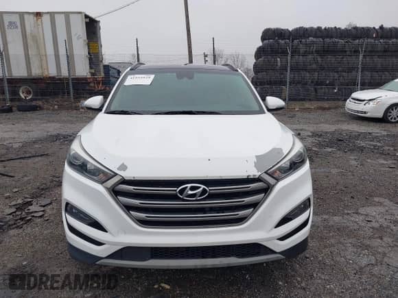 2018 Hyundai Tucson Value с VIN KM8J3CA2XJU646262, выставлен на аукционе IAAI как лот 41955929 с пробегом Не указан миль и . История ставок и продаж доступна на DreamBid. Изображение 12.