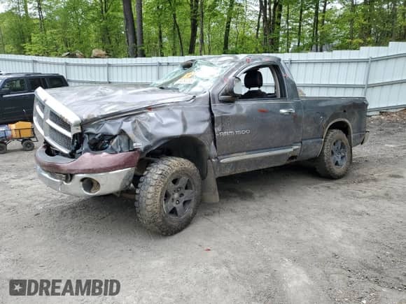 2004 Dodge 1500 SLT with VIN 1D7HU16D14J252210, listed as a Copart auction lot 58060235 with Not provided miles and Non repairable. Bid and sale history available at DreamBid. Image 1.